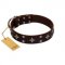"Trendy Candy" FDT Artisan Brown Leather English Bull Terrier Collar Adorned with Stars and Tiny Squares