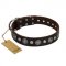 "Victory Ode" FDT Artisan Brown Leather English Bull Terrier Collar with Silver-like Plated Decorations