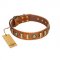 "Happy Hound" FDT Artisan Tan Leather English Bull Terrier Collar with Elegant Decorations
