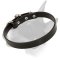 Buckled Leather Bull Terrier Collar for Everyday Activities