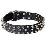 Wide Spiked Design Leather Bull Terrier Collar