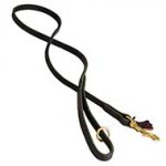 Stunning Leather English Bull Terrier Leash for Walking and Tracking