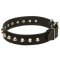 'Daily Elegance' English Bull Terrier Stylish Leather Dog Collar