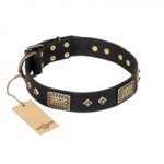 "Jewel Passion" FDT Artisan Fashionable Black Leather English Bull Terrier Collar