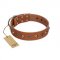 "Silver Age" Fashionable FDT Artisan Tan Leather English Bull Terrier Collar with Silver-Like Studs