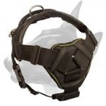 Tracking Nylon Bull Terrier Harness with Comfortable Chest Plate