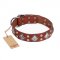 "Magic Squares" FDT Artisan Tan Leather English Bull Terrier Collar with Silver-like Decor