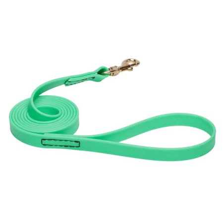 Green Waterproof English Bull Terrier Leash Made of Biothane