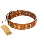 "Olive Slice" FDT Artisan Tan Leather English Bull Terrier Collar with Engraved and Smooth Plates