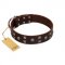 "Brown Shadow" Designer Handmade FDT Artisan Brown Leather English Bull Terrier Collar