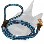 Reliable Nylon Bull Terrier Leash With Strong Snap Hook