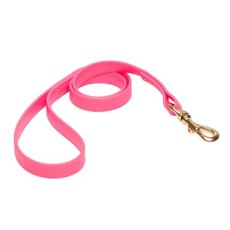 Pink Waterproof English Bull Terrier Leash Made of Biothane