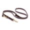 Multipurpose Brown Biothane English Bull Terrier Leash for over 7 Different Activities