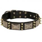 War Design Leather Bull Terrier Collar with Nickel Plates and Brass Spikes