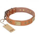 "The Middle Ages" FDT Artisan Handcrafted Tan Leather English Bull Terrier Collar