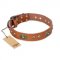 "Stunning Dress" FDT Artisan Tan Leather English Bull Terrier Collar with Old Bronze Look Plates and Studs
