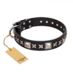 'Space Walk' FDT Artisan Black Leather English Bull Terrier Collar with Adornments