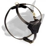 Adjustable Leather Bull Terrier Harness for Training Puppies