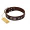 "Needle Stories" Modern FDT Artisan Brown Leather English Bull Terrier Collar with Square Engraved Plates and Four-Point Stars