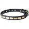 Decorated Leather Bull Terrier Collar with Brass Plates