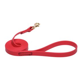 Red Waterproof English Bull Terrier Leash Made of Biothane