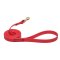 Red Waterproof English Bull Terrier Leash Made of Biothane