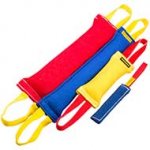 French Linen Bull Terrier Set of 4 Items for Training Adult Dogs