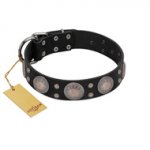 "Starry Sky" Trendy FDT Artisan Black Leather English Bull Terrier Collar with Large Brooches