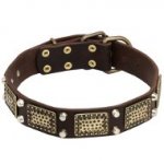 English Bull Terrier Vintage Style Pure Leather Dog Collar with Brass Decorations