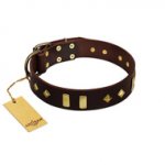 "Blinking Illusion" FDT Artisan Brown Leather English Bull Terrier Collar with Old Bronze-like Studs and Plates