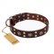 "Pirate Treasure" FDT Artisan Exciting Brown Leather English Bull Terrier Collar with Studs