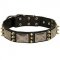 War Design Leather Bull Terrier Collar with Nickel Plates and Brass Spikes
