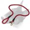 English Bull Terrier Nylon Cord Dog Leash for Walking