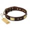 "Rich Fashion" FDT Artisan Decorated Leather English Bull Terrier Collar with Plates and Studs