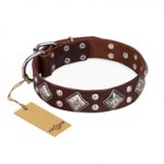 "King of Grace" FDT Artisan Stylish Leather English Bull Terrier Collar with Old Silver-Like Plated Decorations