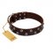 "Blossom Jewel" FDT Artisan Brown Leather English Bull Terrier Collar with Two Rows of Silver-like Studs with Engraved Flowers