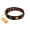 "Crazy Pirate" FDT Artisan Brown Leather English Bull Terrier Collar with Old Bronze-Plated Skulls and Plates