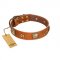 "Celtic Tunes" FDT Artisan Tan Leather English Bull Terrier Collar Adorned with Stars and Squares