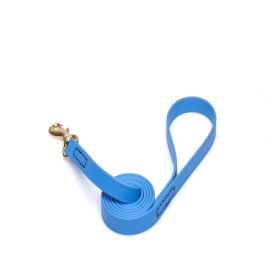 Blue Waterproof English Bull Terrier Leash Made of Biothane