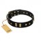 "Fit for Royalty" FDT Artisan Black Leather English Bull Terrier Collar with Plates and Small Square Studs
