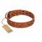 "Rebellious Nature" FDT Artisan Tan Leather English Bull Terrier Collar Embellished with Crossbones and Square Studs