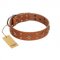 "Dreamy Gleam" FDT Artisan Tan Leather English Bull Terrier Collar Adorned with Stars and Squares