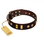 "Lord of Dogs" FDT Artisan Brown Leather English Bull Terrier Collar with Old Bronze-like Dotted Studs and Tiles