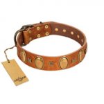 "Glossy Autumn" Designer Handmade FDT Artisan Tan Leather English Bull Terrier Collar with Ovals and Studs