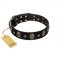 Pirate's Spell' FDT Artisan Black Leather English Bull Terrier Collar with Engraved Studs and Medallions