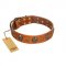 "Rockstar" FDT Artisan Tan Leather English Bull Terrier Collar with Engraved Studs and Medallions