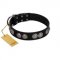 "Magic Amulete" Handcrafted FDT Artisan Black Leather English Bull Terrier Collar with Chrome-Plated Shields