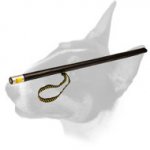 English Bull Terrier Agitation Stick for Schutzhund Training