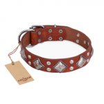 "Magic Squares" FDT Artisan Tan Leather English Bull Terrier Collar with Silver-like Decor