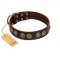 "Treasure Hunter" FDT Artisan Brown Leather English Bull Terrier Collar with Old-Bronze-like and Silvery Medallions